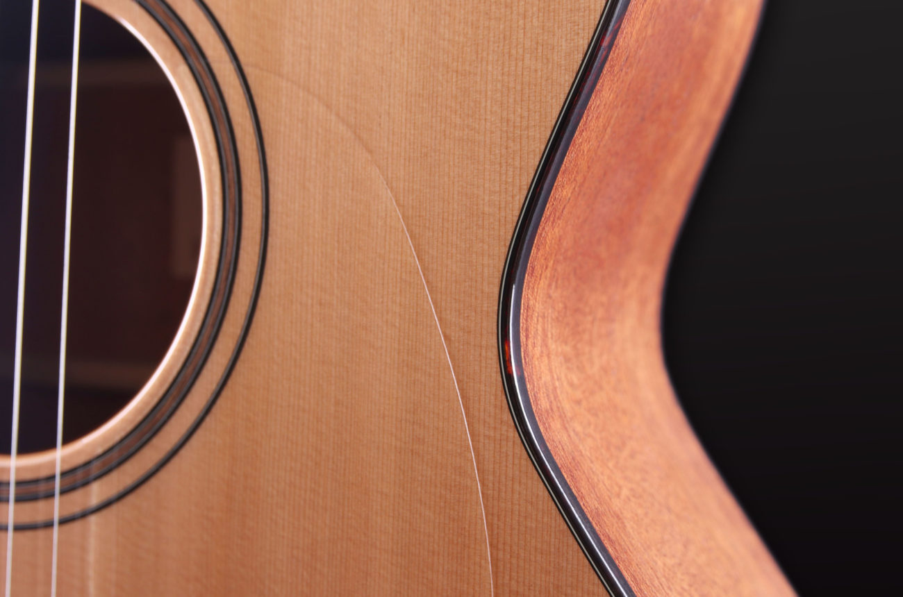 Furch Blue Gc CM SPE 8 Furch Guitars