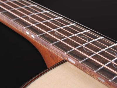 Limited Edition 2019 Furch Guitars