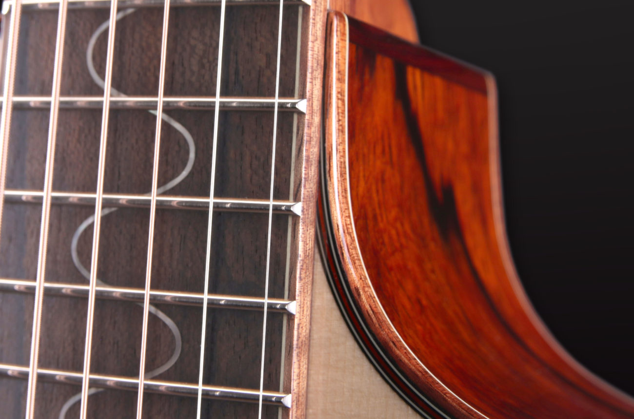 Limited Edition 2019 Furch Guitars