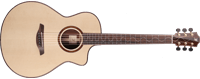 Limited Edition 2019 Furch Guitars